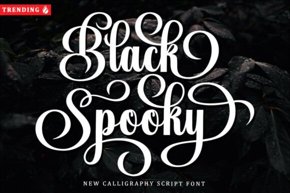 Black Spooky: Elevating Gothic Design with Elegant Script