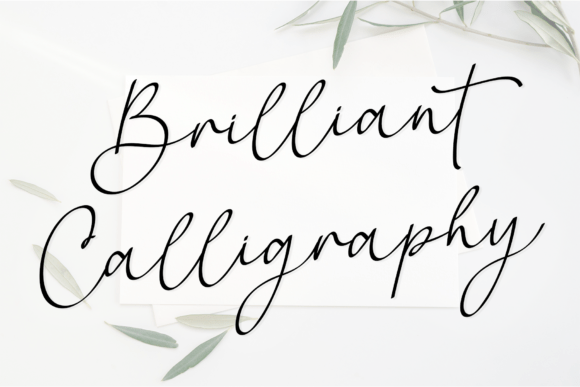 Brilliant Calligraphy: Elevating Modern Design with Artisanal Elegance