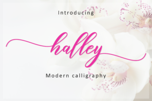 Halley Script: Elevating Design with Romantic Typography