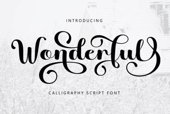 Wonderful Font: Elevating Creative Projects with Elegant Typography